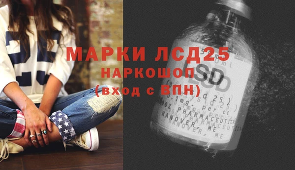 сатива Нестеровская