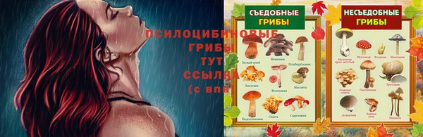 PSILOCYBIN Алексин