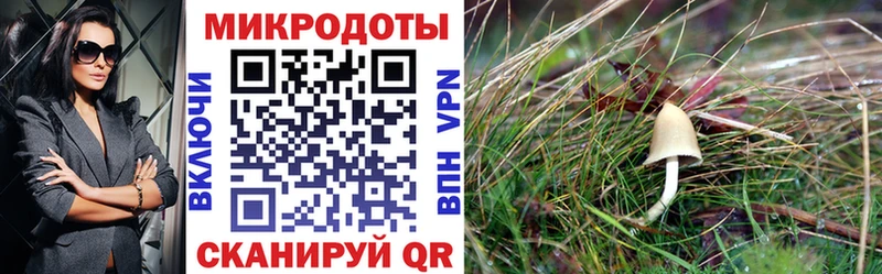 Псилоцибиновые грибы мицелий  Амурск 
