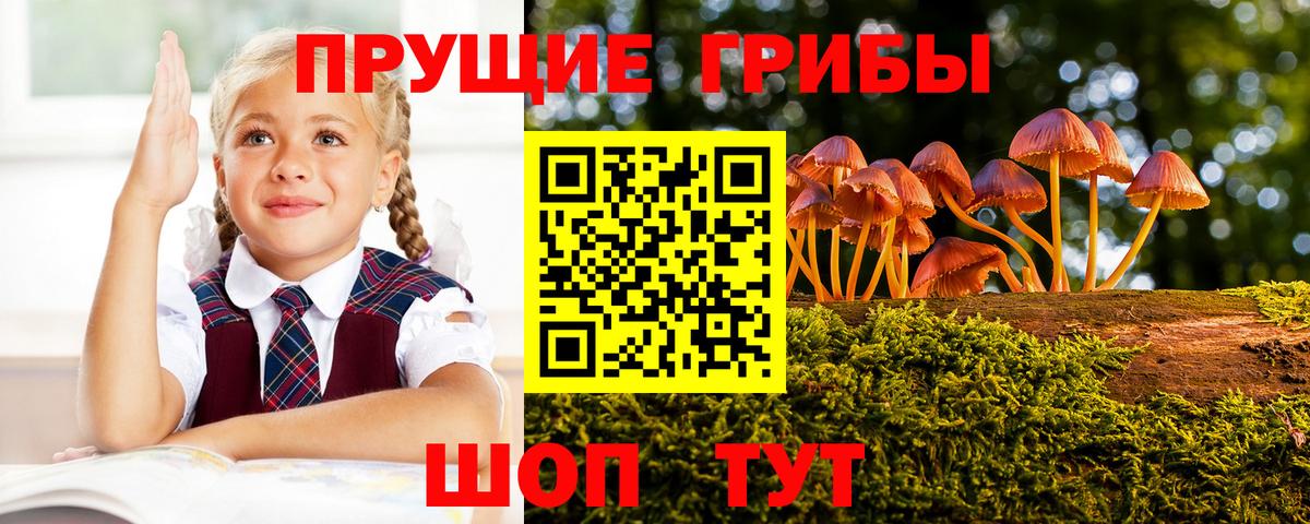 Псилоцибиновые грибы прущие грибы Амурск