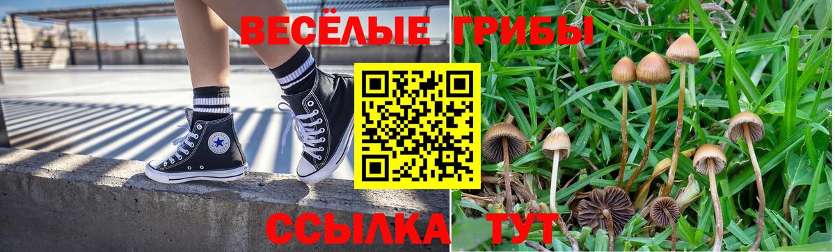 Амурск  Галлюциногенные грибы Psilocybine cubensis  Галлюциногенные грибы ЛСД  Вход с VPN 